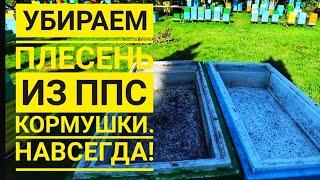 Как убрать плесень из ППС кормушки для #пчёл?!