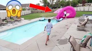 HOLD ON TO THE GIANT FLAMINGO!! | Brock and Boston