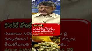 Chandrababu Serious  on Ganja Supply & Rowdyism ki Iron Leg. Breaking News.  Babu on fire