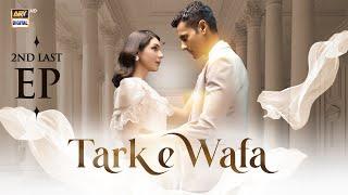 Tark e Wafa 2nd Last Episode | 21 Sep 2024 | ARY Digital Drama