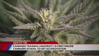 Online cannabis school first to get accredited