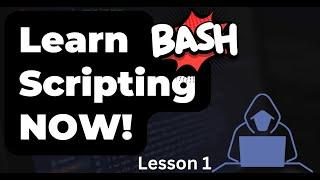 Learn Bash Shell Scripting NOW! Lesson 1 - Variables and User Input