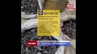 Batman Son Dakika Haber - Batman'da Silah Operasyonu - Burası Batman Haber Ajansı #sondakikabatman