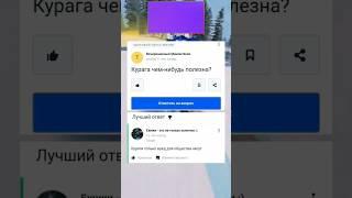 Ответы mail ru как смысл жизни #упоротые_ответы #мемы #мем #майлру