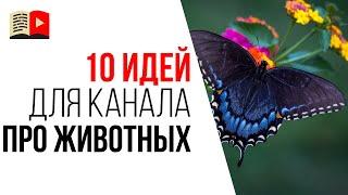 Какой канал создать на YouTube, если Вы любите животных? 10 тем для канала про животных