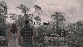 Where the Crawdads Sing | carolina | Taylor Swift