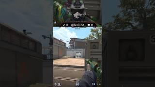 Monitor on #gaming #cs #cs2 #counterstrike #funny #clip #fortniteballistic #smallstreamer #vtuber