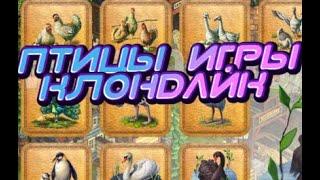 Птицы в игре Клондайк