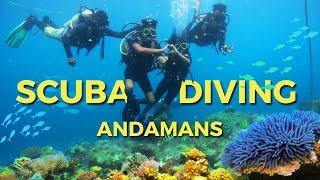 Scuba diving in Andamans: Havelock Island️