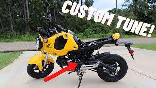 2022 HONDA GROM ECU REMOVAL + CUSTOM TUNE!