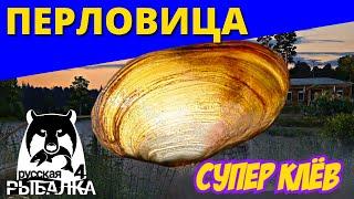 ПЕРЛОВИЦА ► Супер КЛЁВ ► РУССКАЯ РЫБАЛКА 4  Russian Fishing 4  РР4 RF4 ► 俄罗斯钓鱼 4