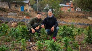 Viví con un PRODUCTOR de HACHÍS en Marruecos