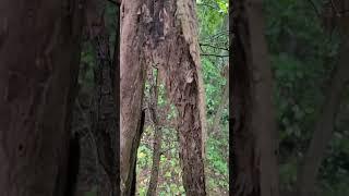 How to Make a Fire in the Rain