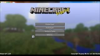 Intro to MirzaMinecraft