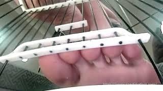 Caged and teased by Akina's feet toes VR preview
