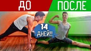 Шпагат за 2 Недели - РЕЗУЛЬТАТЫ! Как сесть на шпагат за 2 недели с нуля?