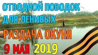 Рыбалка на отводной поводок на окуня весной сезон 2019