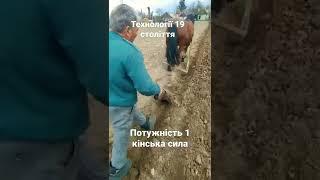 Однокорпусний плуг з конем#Старі технології #shorts