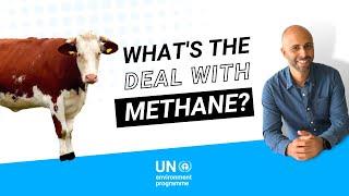 What's the deal with methane?