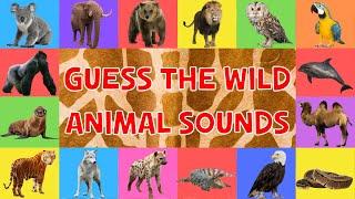 Guess The Wild Animal Sounds For Kids | 4K