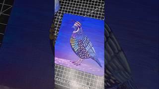 Painting a multicolor Quail 