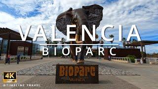 BioParc Valencia Spain 2023 Walking Tour! Visit the zoo park BioParc! #timelinetravel #spain