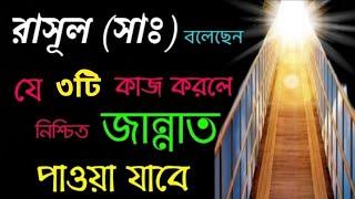 জান্নাতে যাওয়ার তিনটি সহজ আমল || Zannate jaoyar 3ti sohoj Amol