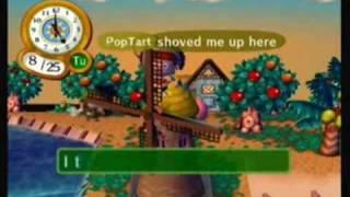 Animal Crossing:City Folk:Windmill Glitch