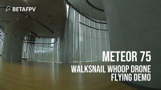 BETAFPV Meteor75 Walksnail Whoop | Flying Demo