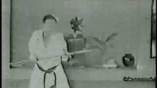Ryukyu Kobudo. Taira Shinken