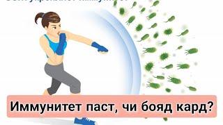 Роххои баланд кардани иммунитет.  Витаминҳои зарури