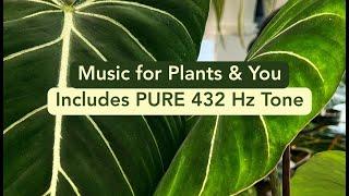 432 Hz Healing Music for Plants & People  Includes Pure 432 Hz Tone for Healing & Growth
