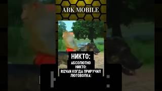 Приручение Лютоволка @Rizvanchik_ #ark #arkmobile #арк #аркмобайл #arkpvp #shorts #survival #прикол