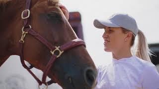 Showjumping memories of Horse of the Year Show