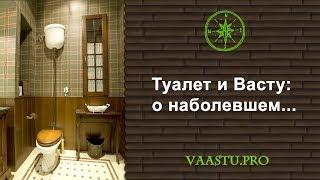 Васту ТВ #2. Туалет и Васту: о наболевшем...