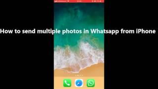 How to send multiple photos via WhatsApp on iPhone