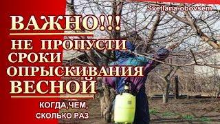 ВЕСЕННЕЕ ОПРЫСКИВАНИЕ-  КОГДА,ЧЕМ и СКОЛЬКО РАЗ..   ВАЖНО НЕ ПРОПУСТИТЬ  СРОКИ ОБРАБОТКИ....