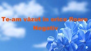 Te-am vazut in orice floare negativ by Cipri (fara aditionale)