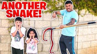 WE CAN'T BELIEVE WE FOUND ANOTHER SNAKE BY OUR HOUSE!!! **SHOCKING**