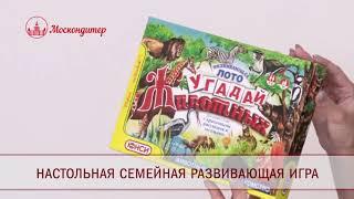 Сладкий новогодний подарок "Мадагаскар"