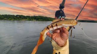 EPIC Day of Musky Fishing!!! (ALL DAY MAYHEM)