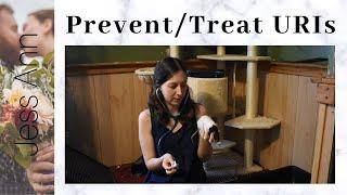 All About Upper Respiratory Infections in Pet Rats | URIs | Does My Rat Have A URI?