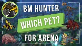 Beast Mastery Hunter - PvP Pet Guide || WoW The War Within