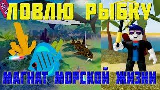 Магнат Морской Жизни в Роблоксе |ROBLOX|Тайкон| Sea Life Tycoon