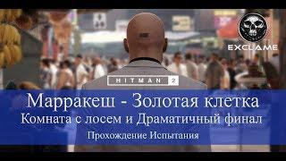 HITMAN 2 | Марракеш | Комната с лосем и Драматичный финал | Прохождение Испытания