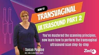 How to: Perform the transvaginal ultrasound exam part 2 - 3 August 2023