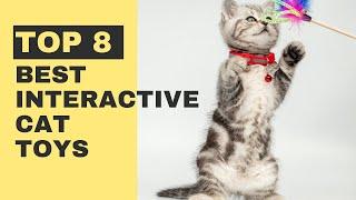 Top 8 Best Interactive Cat Toys – Which One Is Best for Your Little Furball?