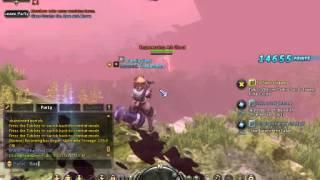 Dragon Nest Funny moment