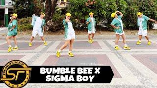 BUMBLE BEE X SIGMA BOY ( Dj Ericnem Remix ) - Dance Trends | Dance Fitness | Zumba