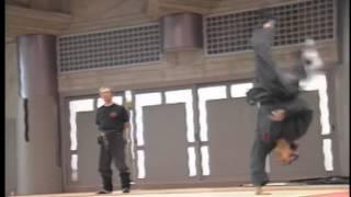 Bujinkan Dublin - Bujinkan Shugyō Dōjō - Ukemi Taihenjutsu